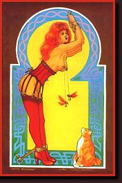 kitty bondage fantasy magnet